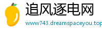 追风逐电网